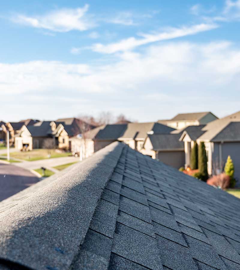 roof repair services in Lexington