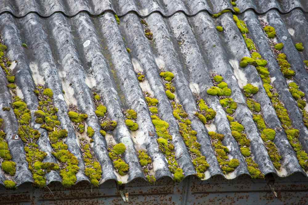 How to Remove Moss from Your Roof?